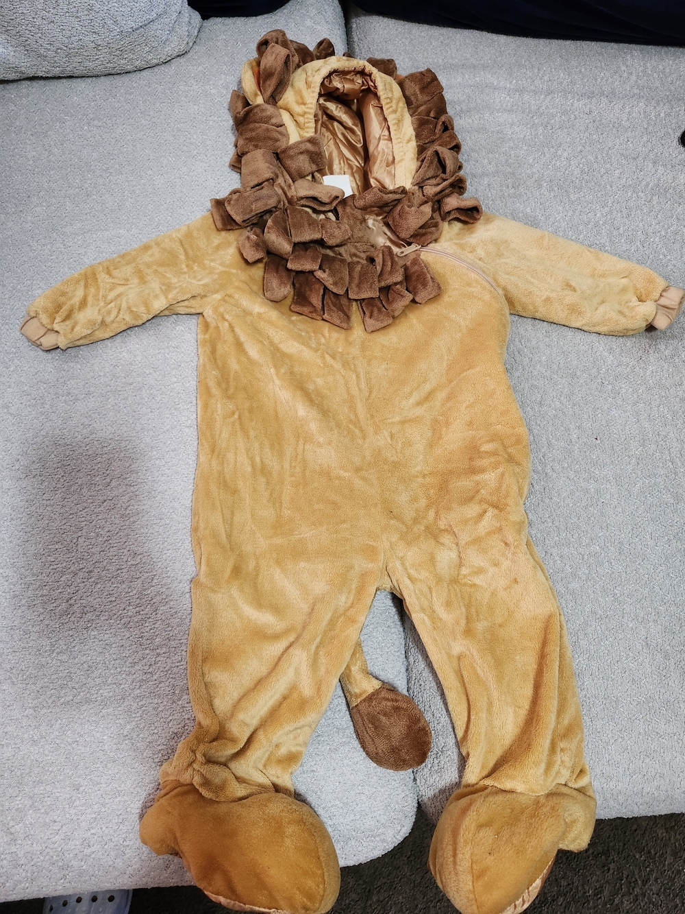 Plush Lion Halloween Costume – 12–24 Months – Target